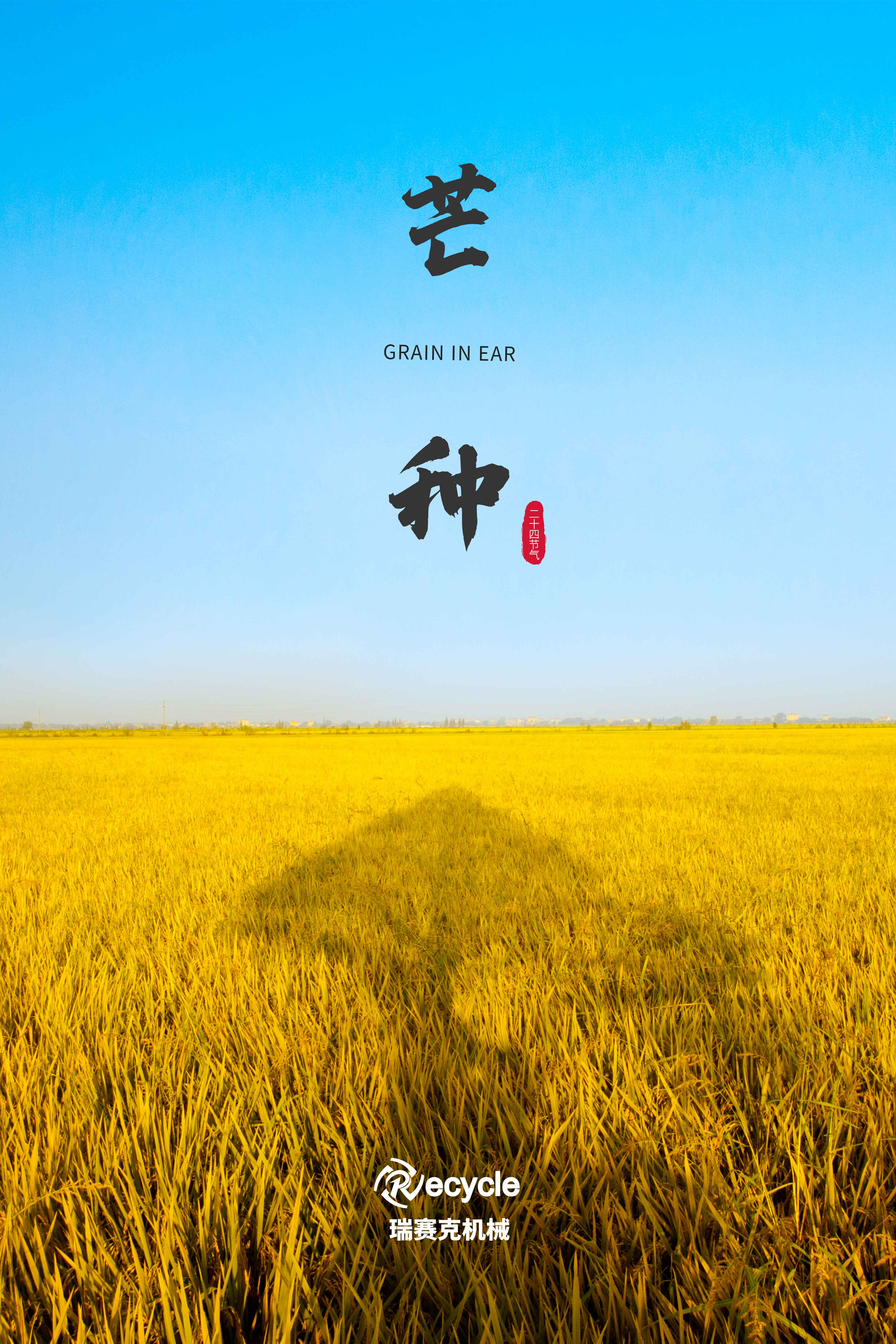芒種至 盛夏始